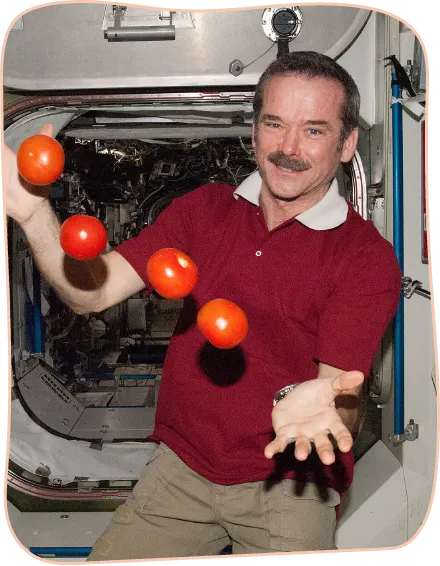 Photo de Chris Hadfield dans la navette spatiale. Quatre tomates rouge flotte entre ses deux mains tendues.