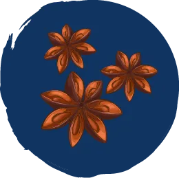 Illustration représentant trois fleurs d’anis étoilé.